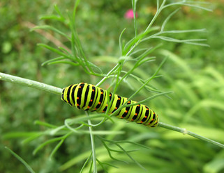 Similar image 1118618