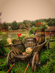 Similar image 1118662