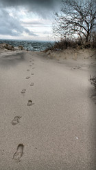 Similar image 1118663