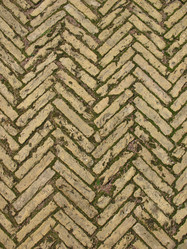 Similar image 1118667