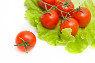 Similar image 1118672