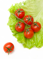 Similar image 1118675