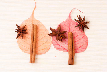 Similar image 1118682