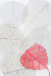 Similar image 1118683