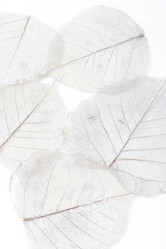 Similar image 1118684