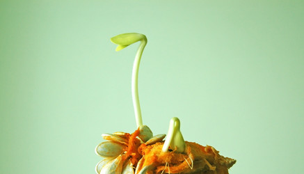 Similar image 1118704