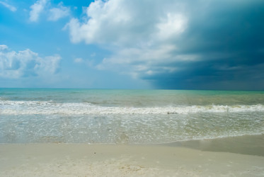 Similar image 1118713