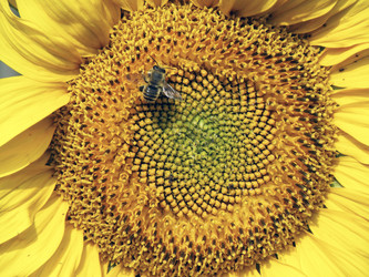 Similar image 1119519