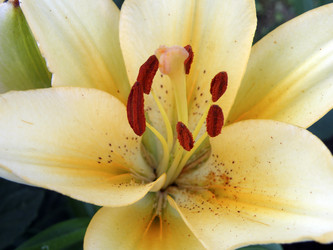 Similar image 1119520