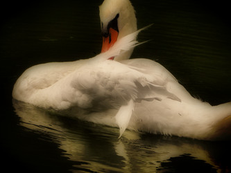 Similar image 1119569