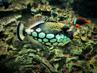 Similar image 1119572