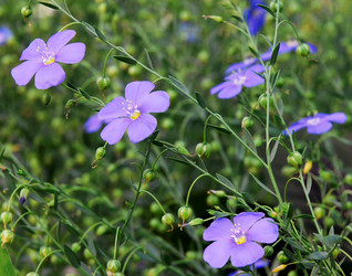 Similar image 1119574