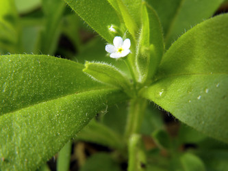 Similar image 1119575