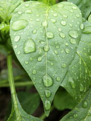 Similar image 1119576