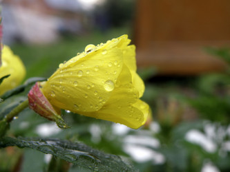 Similar image 1119577