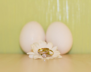 Similar image 1119659