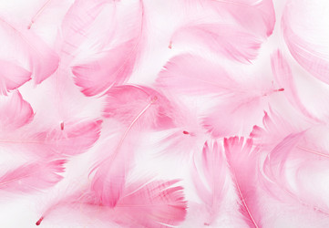 Similar image 1119671