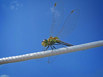 Similar image 1119674