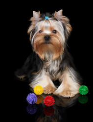 Similar image 1119699