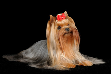 Similar image 1119701