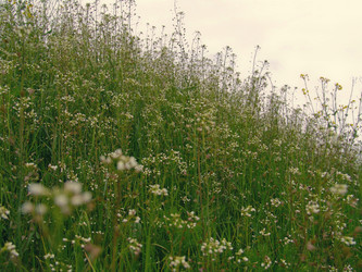 Similar image 1119705