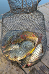 Similar image 1119706