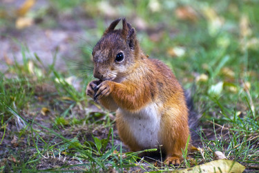 Similar image 1119709