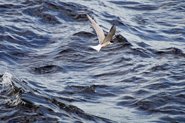 Similar image 1119711