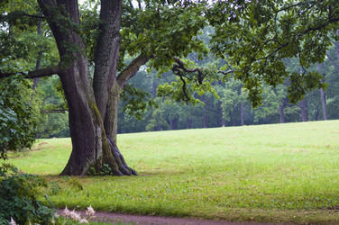 Similar image 1119713