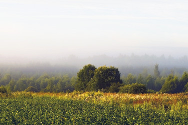 Similar image 1119714