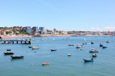 Similar image 1119739