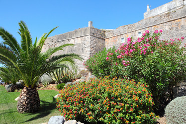 Similar image 1119741