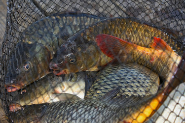 Similar image 1119758