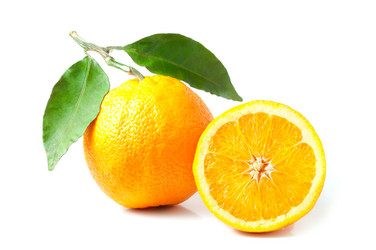 Similar image 1119760