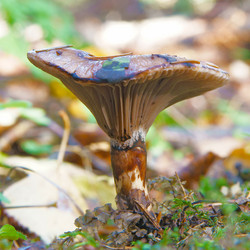 Similar image 1119762