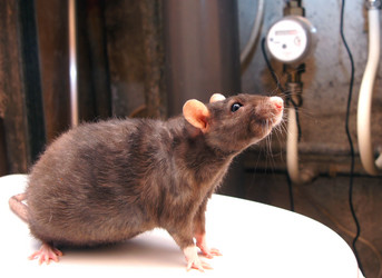 Similar image 1119766