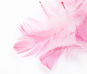 Similar image 1119768