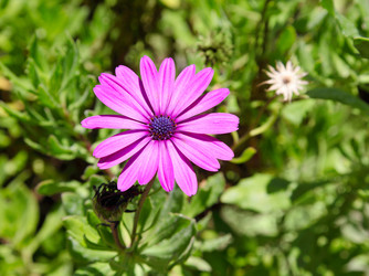 Similar image 1119778