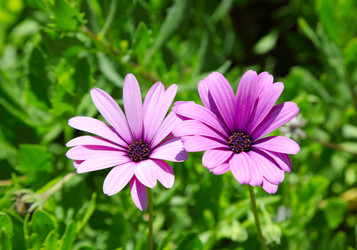 Similar image 1119779