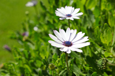 Similar image 1119780