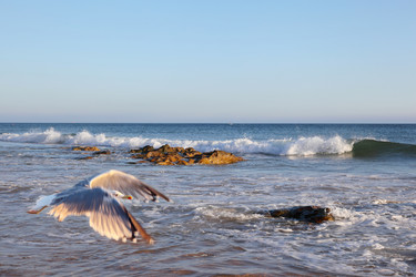 Similar image 1119808