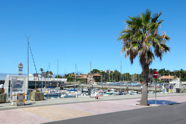 Similar image 1119811