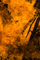 Similar image 1119823