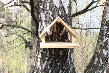 Similar image 1119827