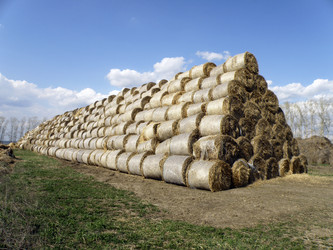 Similar image 1119828