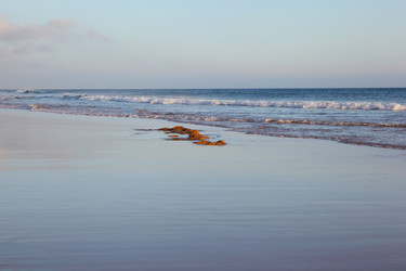 Similar image 1119834