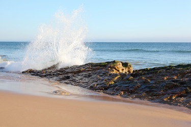 Similar image 1119835