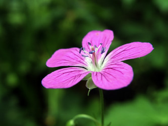 Similar image 1119846