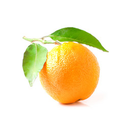 Similar image 1119847