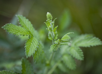 Similar image 1119860